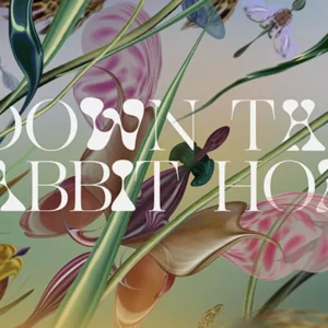 Down the rabbit hole 3 t/m 5 juli
